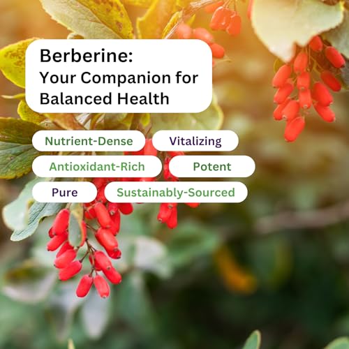 Paradise Herbs Berberine capsules close-up emphasizing premium absorption focus