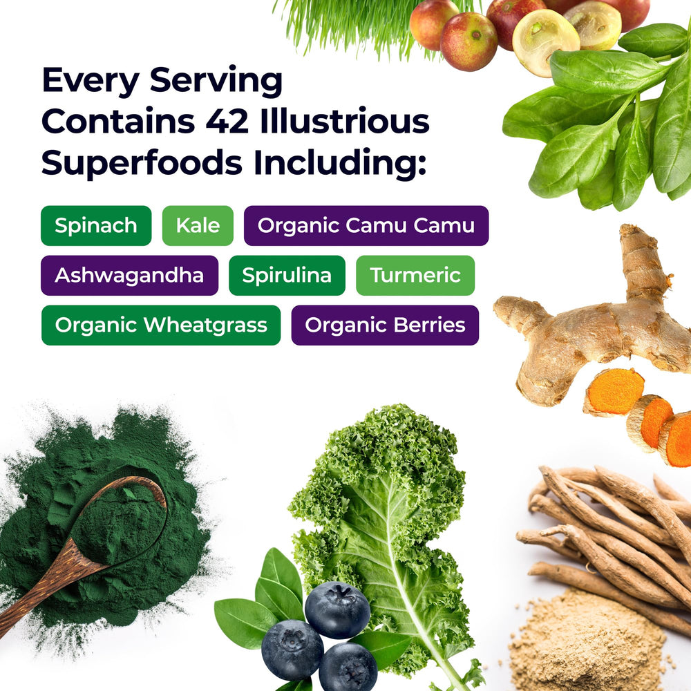 Paradise Herbs ORAC Energy Greens scoop shows nutrient-dense green powder ready to mix