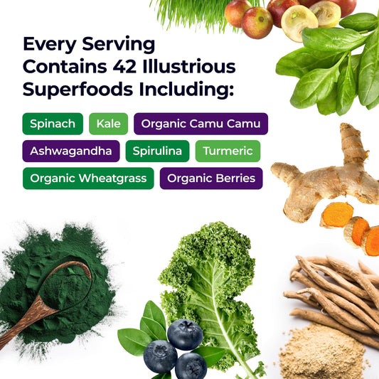 Paradise Herbs ORAC Energy Greens scoop shows nutrient-dense green powder ready to mix