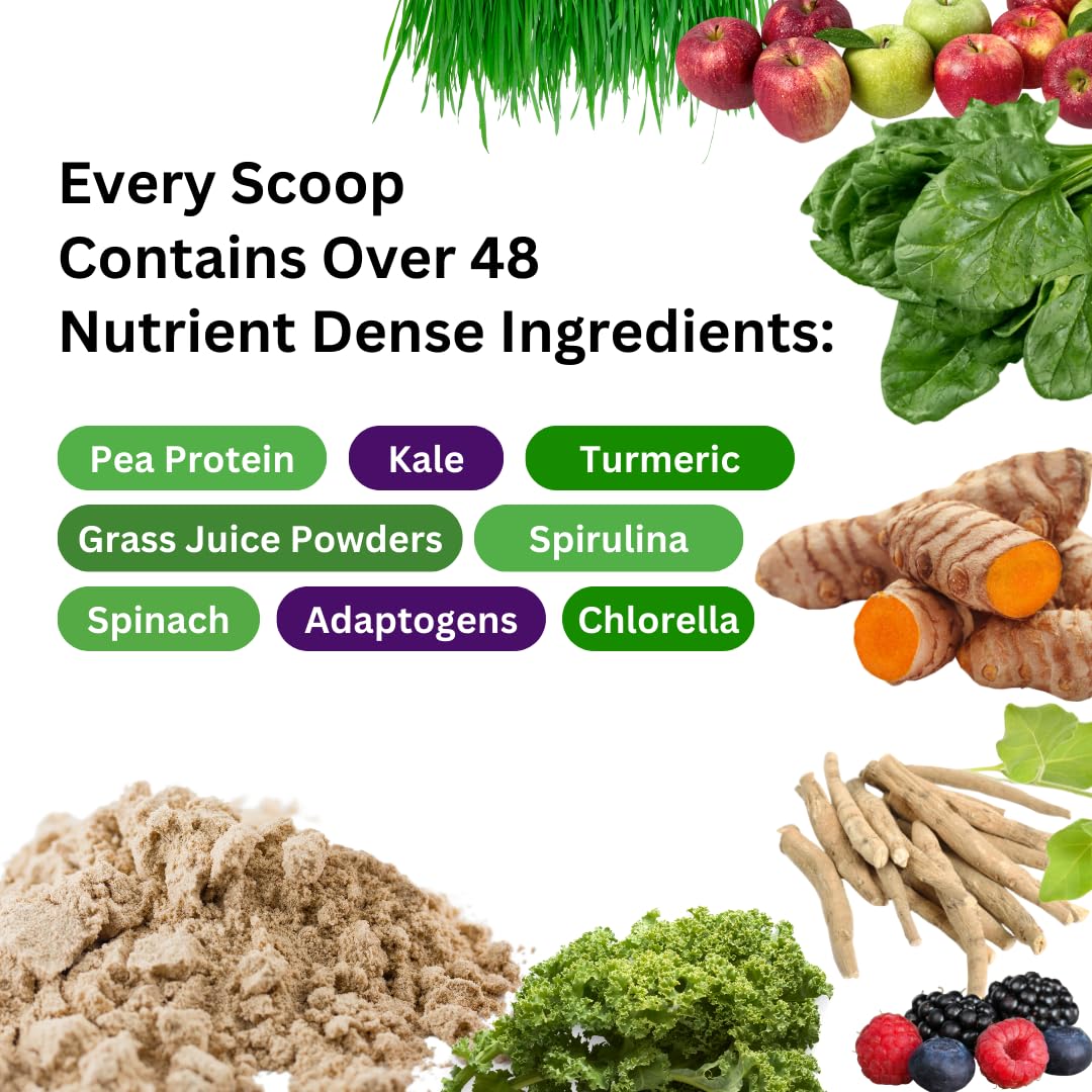 Paradise Herbs ORAC Energy Protein & Greens spoon for easy serving.