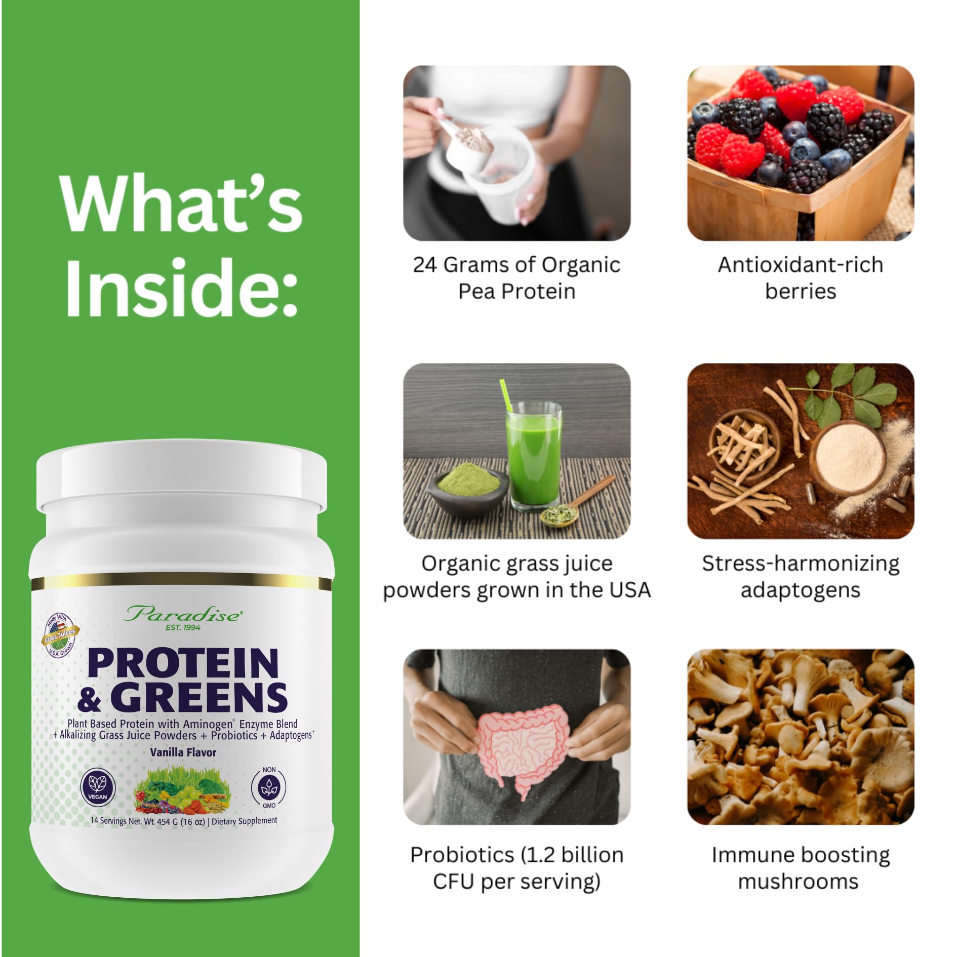 Paradise Herbs ORAC Energy Proteins & Greens shake in glass with vanilla flavor.