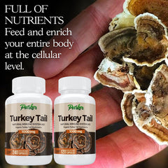 Parker Naturals Turkey Tail bottle on display highlighting organic ingredients.