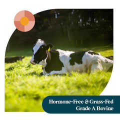 Pattern Wellness Collagen Peptides grass-fed bovine source signaling trusted protein quality.
