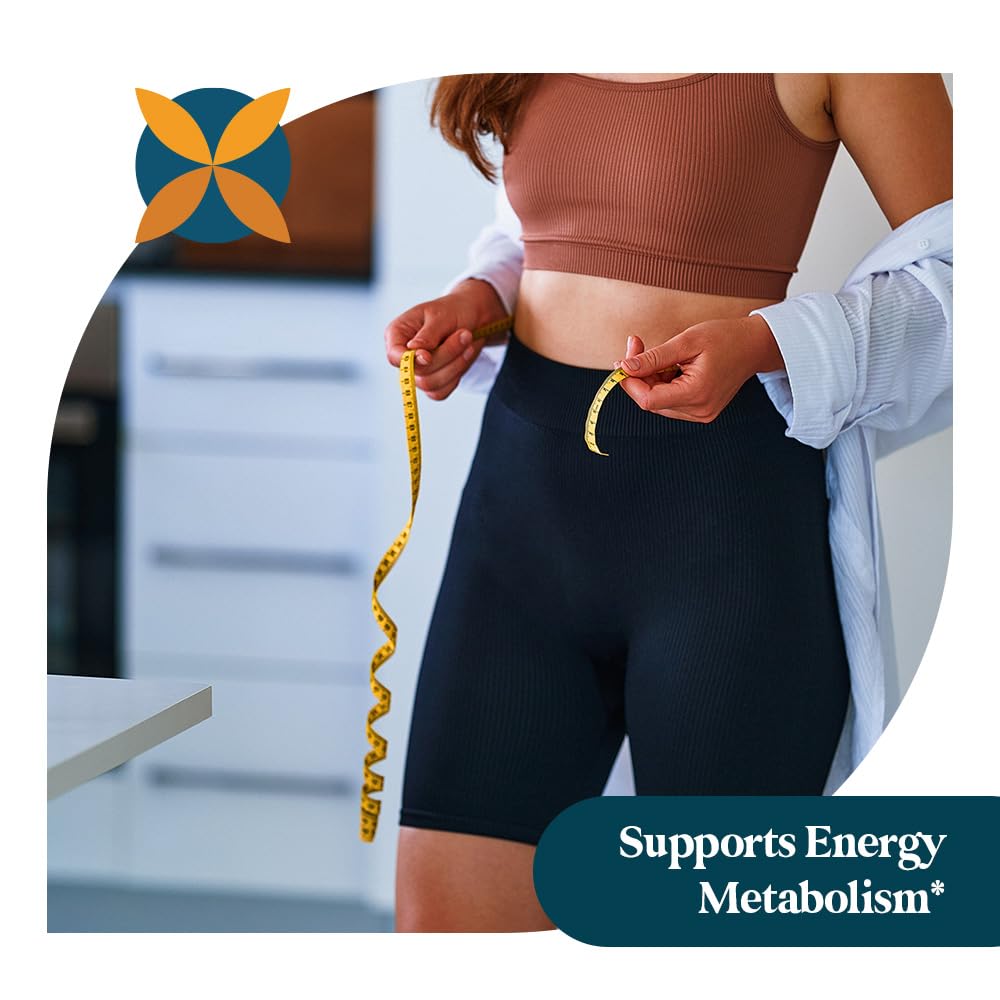 Pattern Wellness Moringa Daily Wellness Routine scene suggests steady energy support.