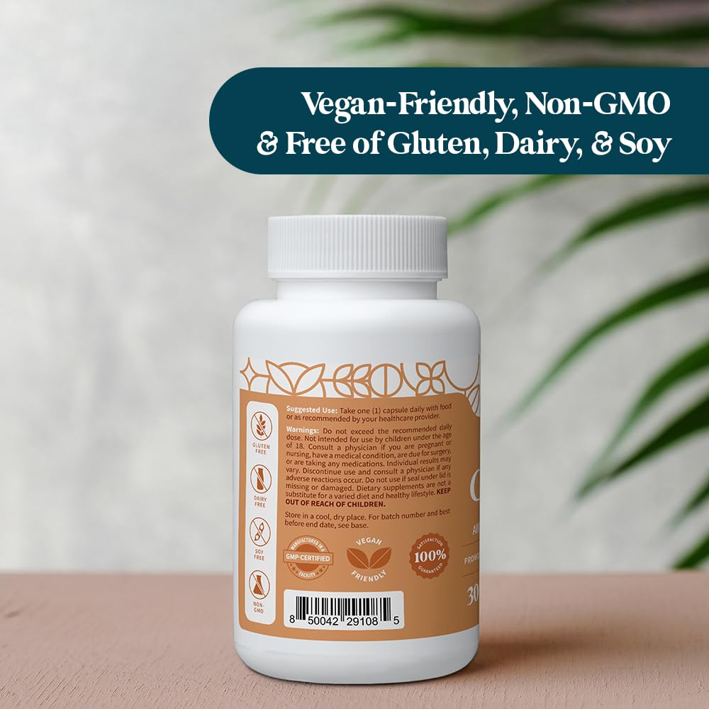 Pattern Wellness Zinc Complex probiotic blend visual suggests digestive support.