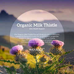 PAYAOCZ Dandelion and Artichoke blend label image highlighting multi-herb support