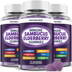 PAYÉ Elderberry Gummies jar showing 210-count bottle for daily immune support.