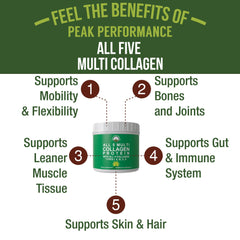  Peak Performance All 5 graphic shows collagen types I, II, III, V, X for complete profile.