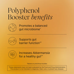 Pendulum Polyphenol Booster capsules closeup, science-backed ingredients for microbiome health