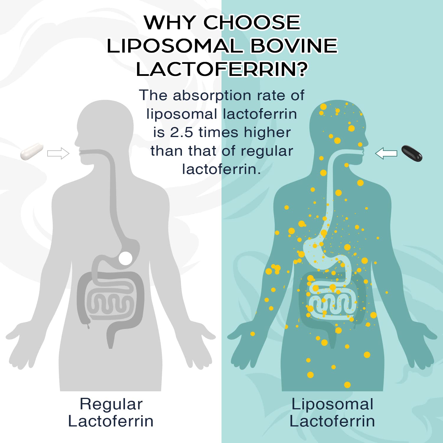 Packaging highlights dairy-derived lactoferrin source from Pepeior