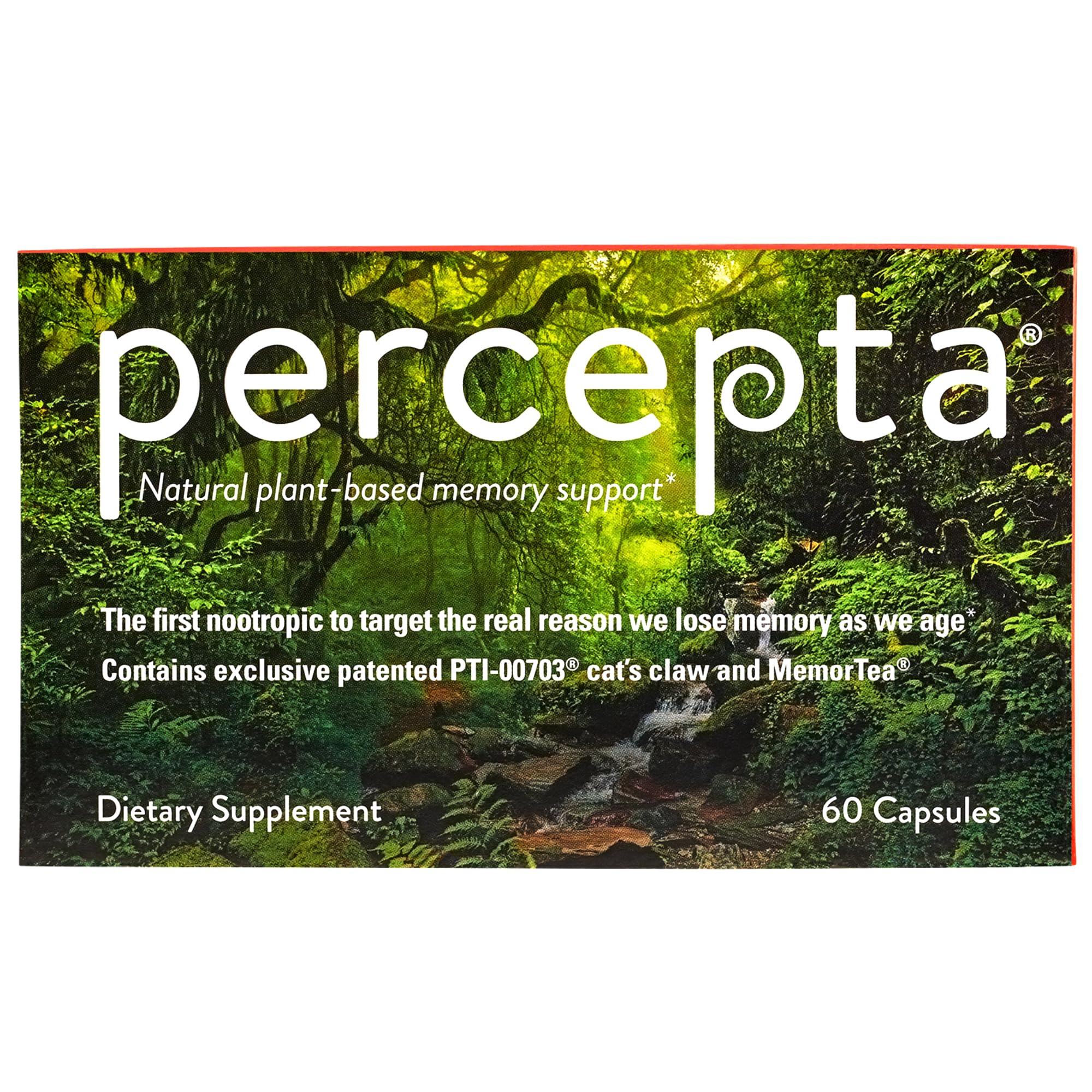 Percepta Memory Support bottle with a natural nootropic blend for daily focus.