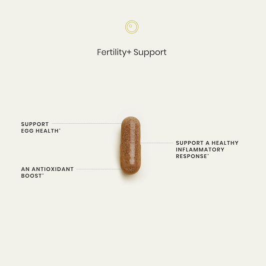 Perelel Fertility Support capsules close-up highlighting antioxidant daily support.