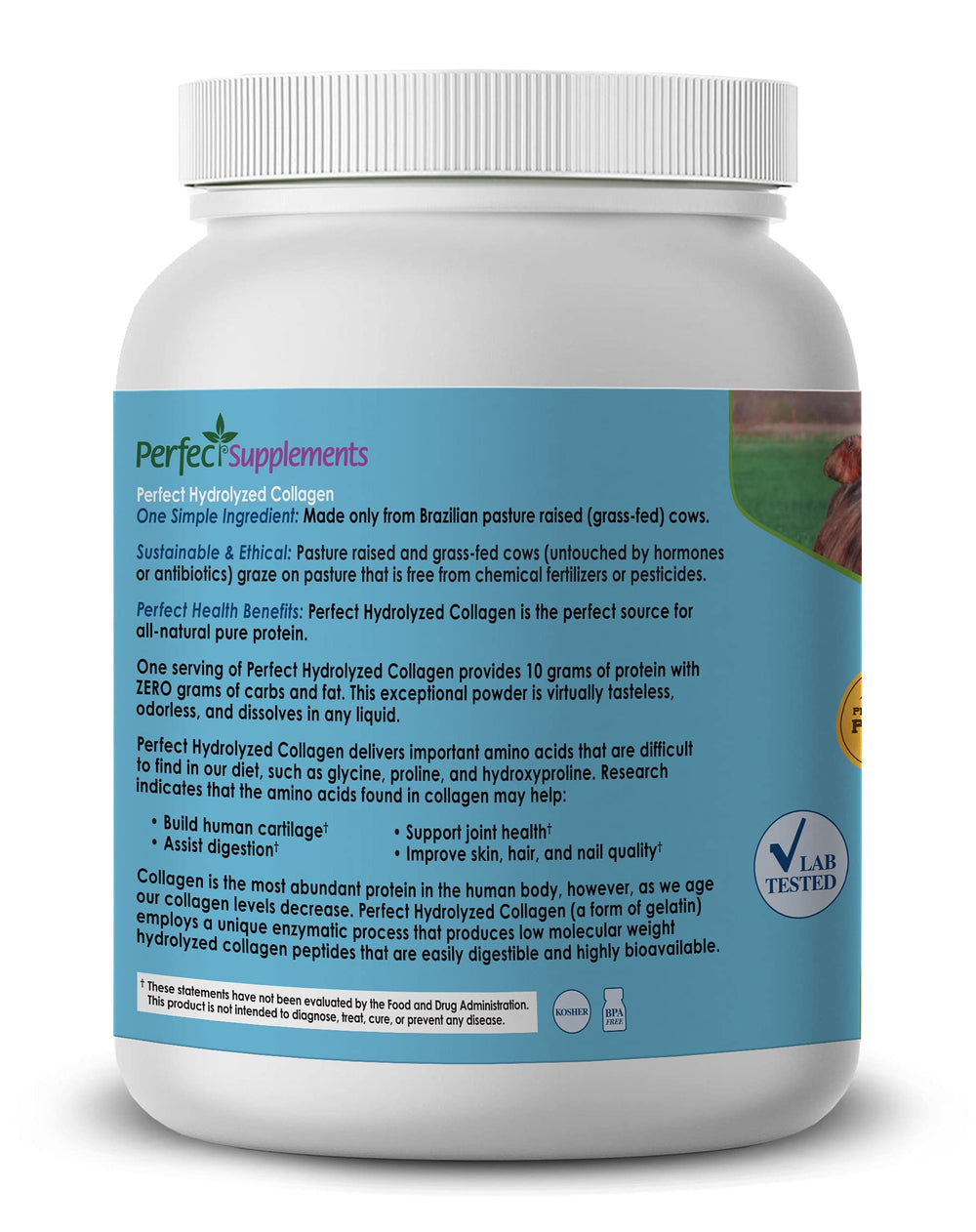 Close-up of Perfect Supplements collagen label with non-GMO and gluten-free credentials