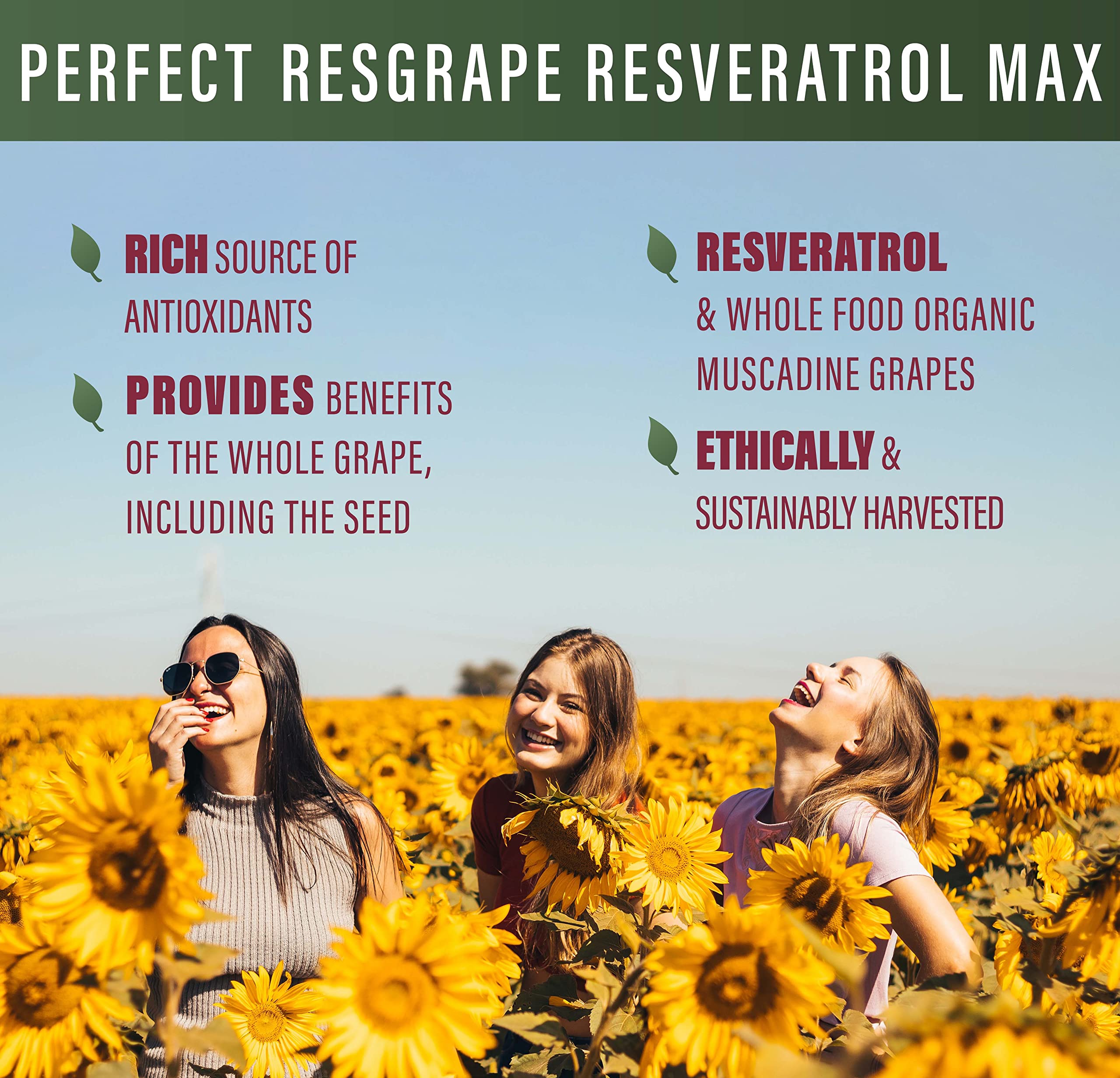 Visual of Muscadine grape and organic ingredients on label