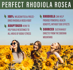 Perfect Supplements Rhodiola Rosea label highlights key ingredients.