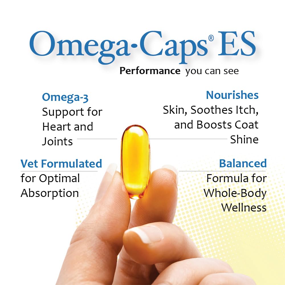 Pet Health Solutions Omega-Caps ES joint support for large dogs