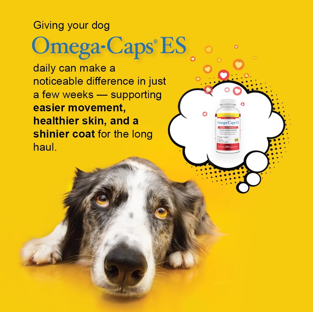 Pet Health Solutions Omega-Caps ES shiny coat and healthy skin