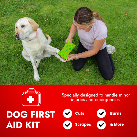 PetVet Medic thermometer inside kit for fast temperature checks during emergencies.