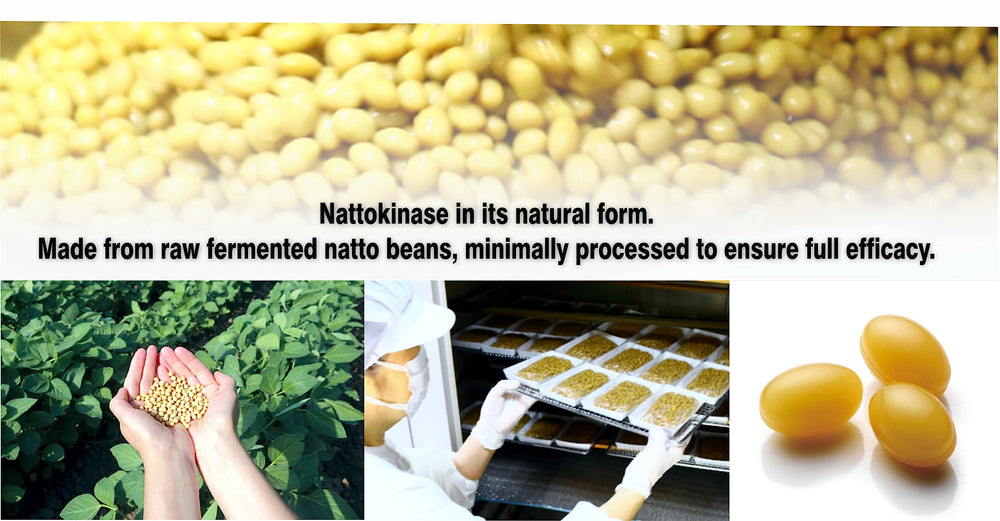 PHARMAKON nattokinase label panel highlights organic ingredients.