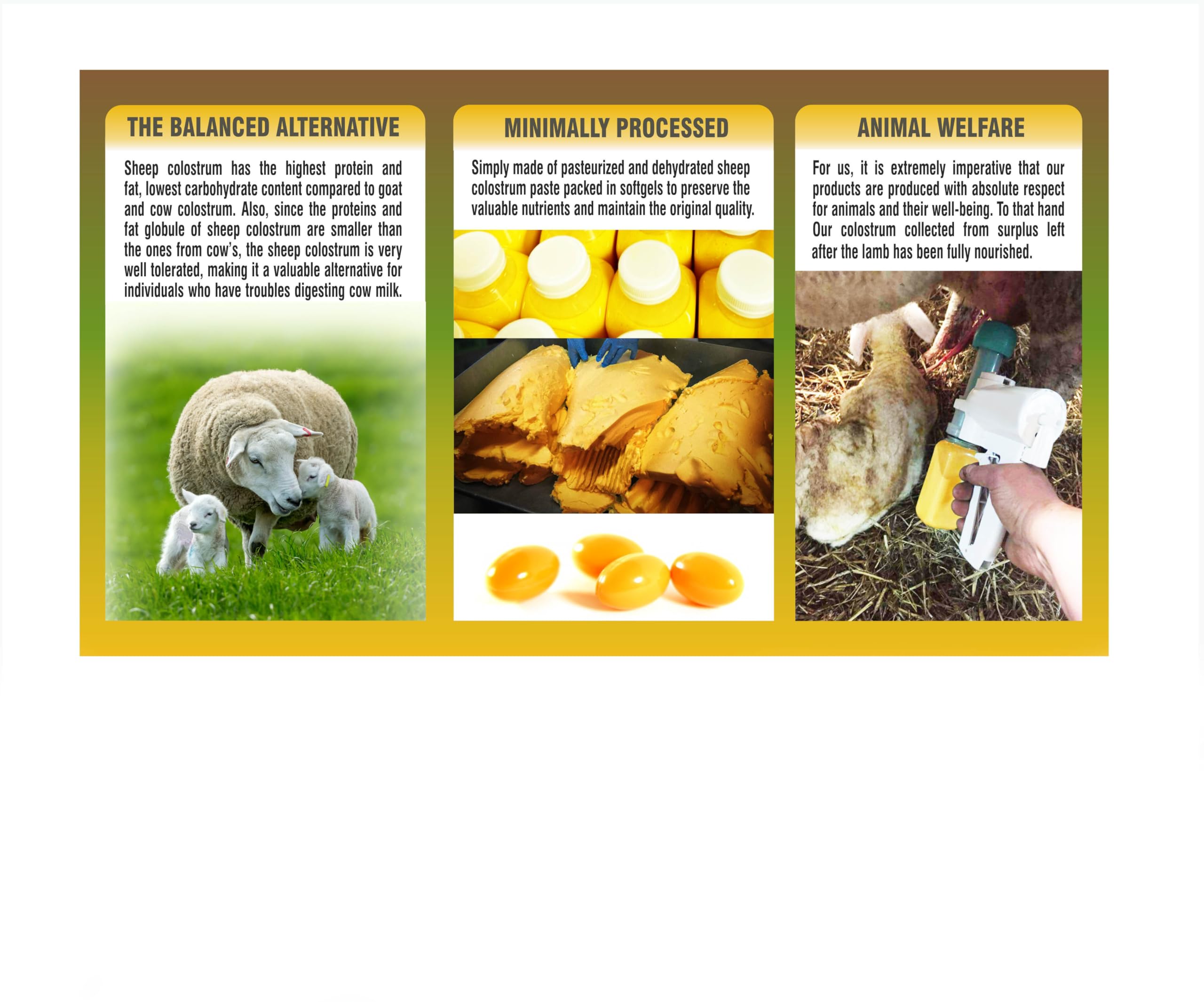 PHARMAKON sustainable sourcing logo signals ethical ingredient origins