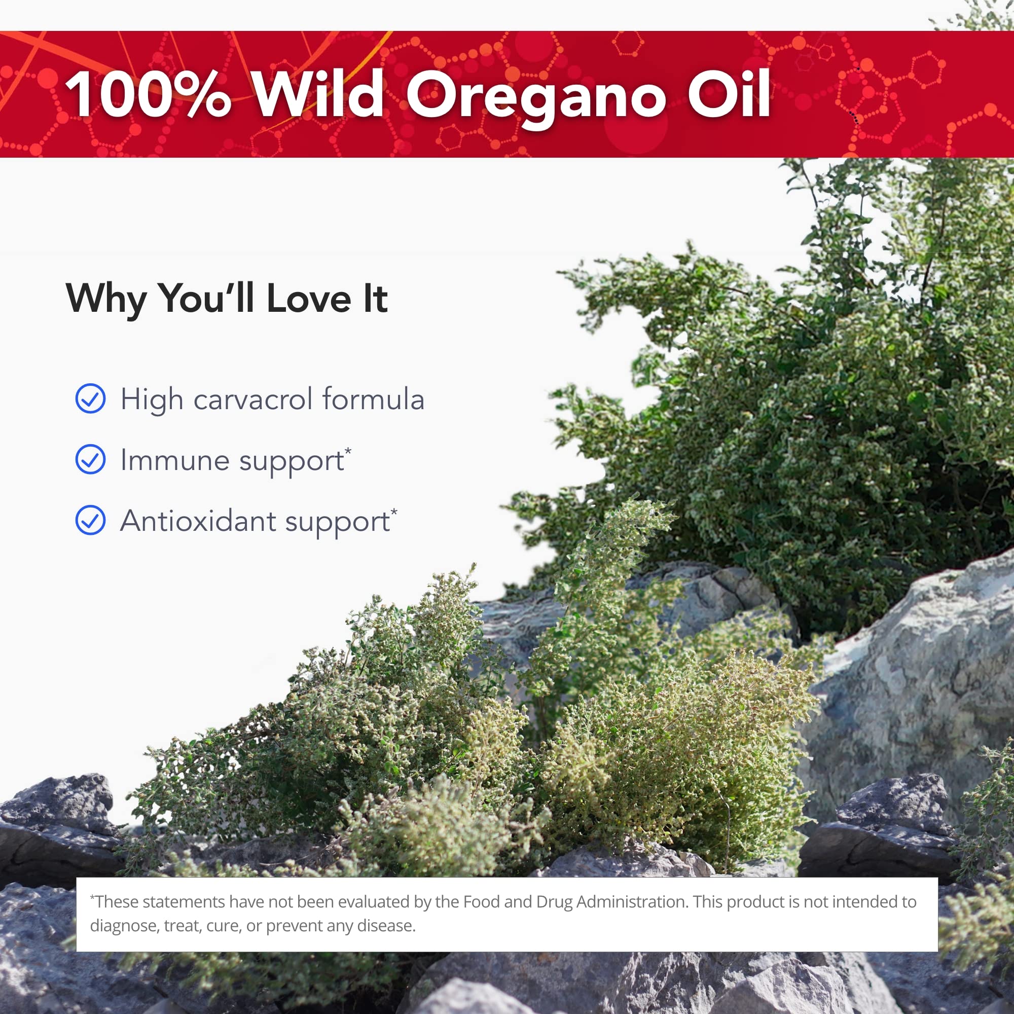 Physician's Strength OregaWild oregano oil dropper for precise daily drops.