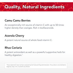 Power-C acerola cherry fruit powder close-up highlighting natural flavor