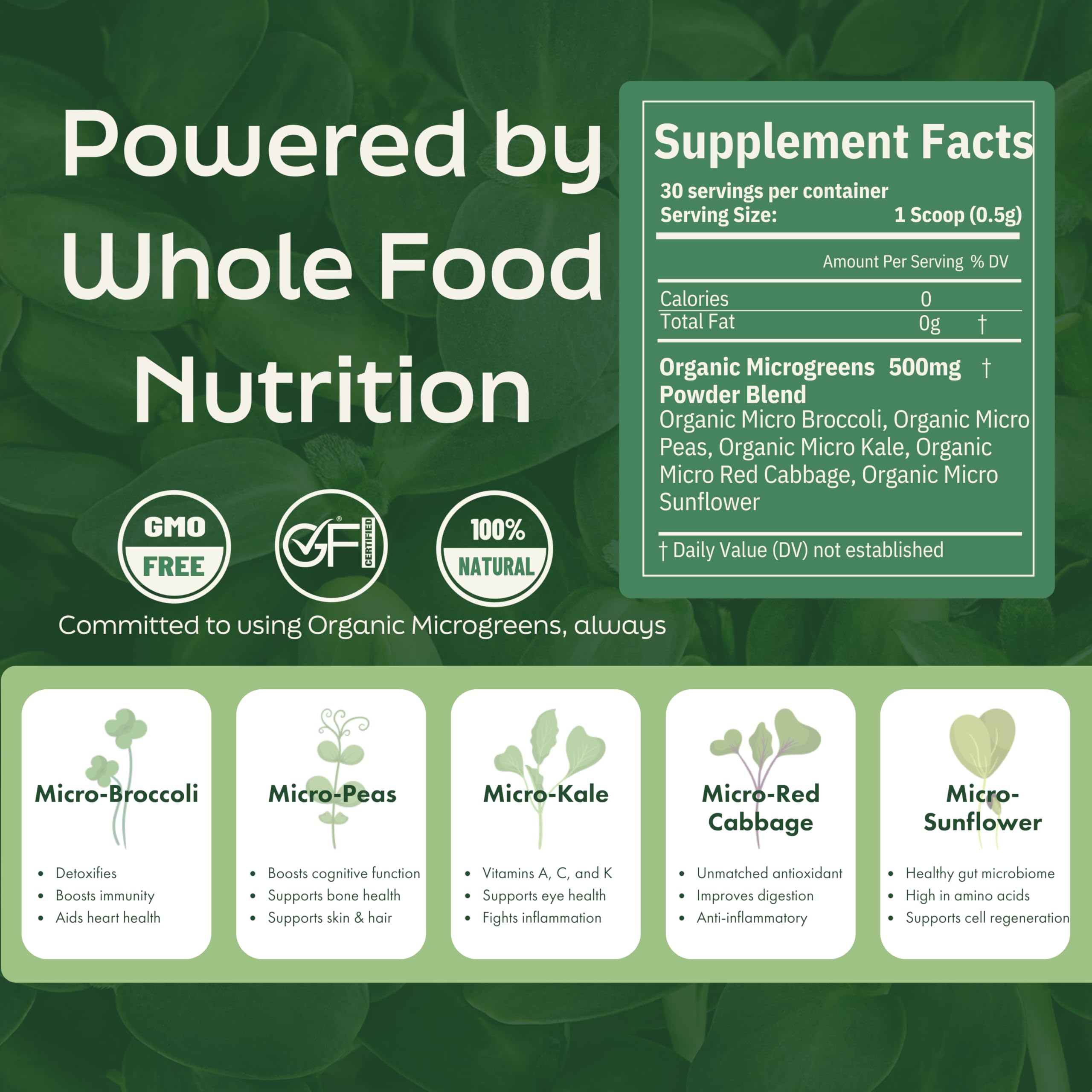 PICK'D POWDERS microgreens powder shake featuring a vibrant mix for focus and digestion