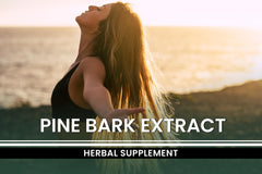 Pine Bark Extract capsules flatlay highlights compact daily supplement format