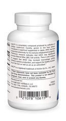 Planetary Herbals AHCC capsules close-up for convenient immune support