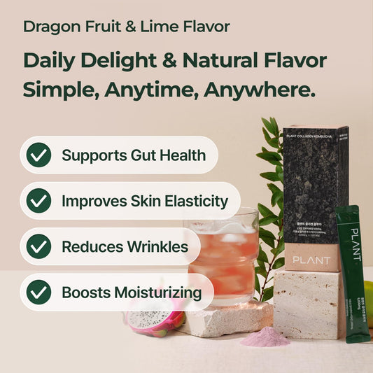 PLANT kombucha probiotics powder packet promotes gut balance