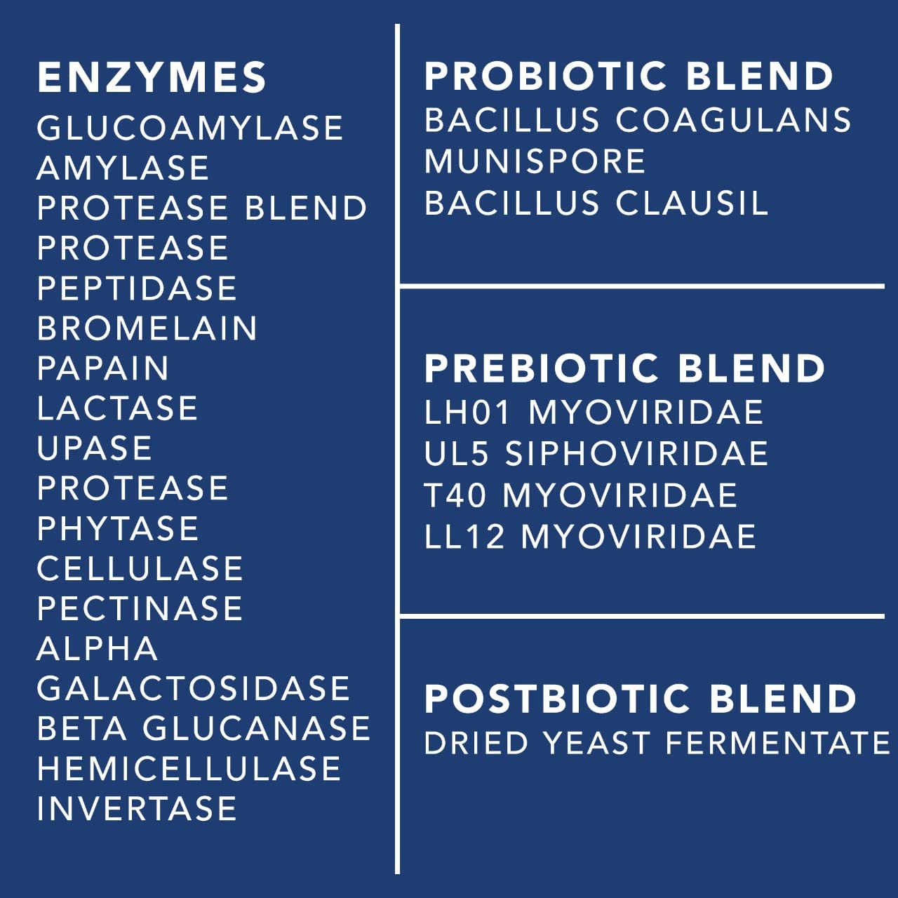 PLANT.O NUTRITION Gut Complex daily-use routine supports balanced digestion