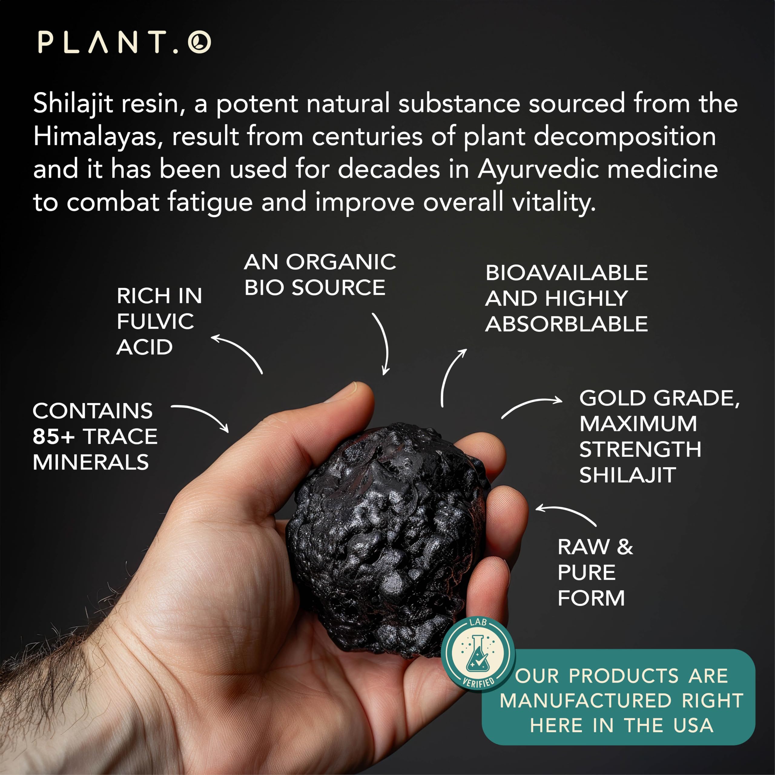 PLANT.O NUTRITION Shilajit capsules close-up, showcasing easy-to-swallow form.