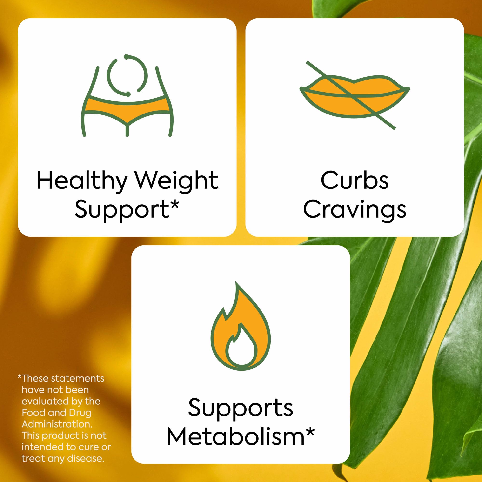 Apple Cider Vinegar bottle beside WonderBurn hints at digestion-friendly formulation.