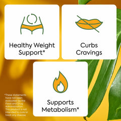 Apple Cider Vinegar bottle beside WonderBurn hints at digestion-friendly formulation.