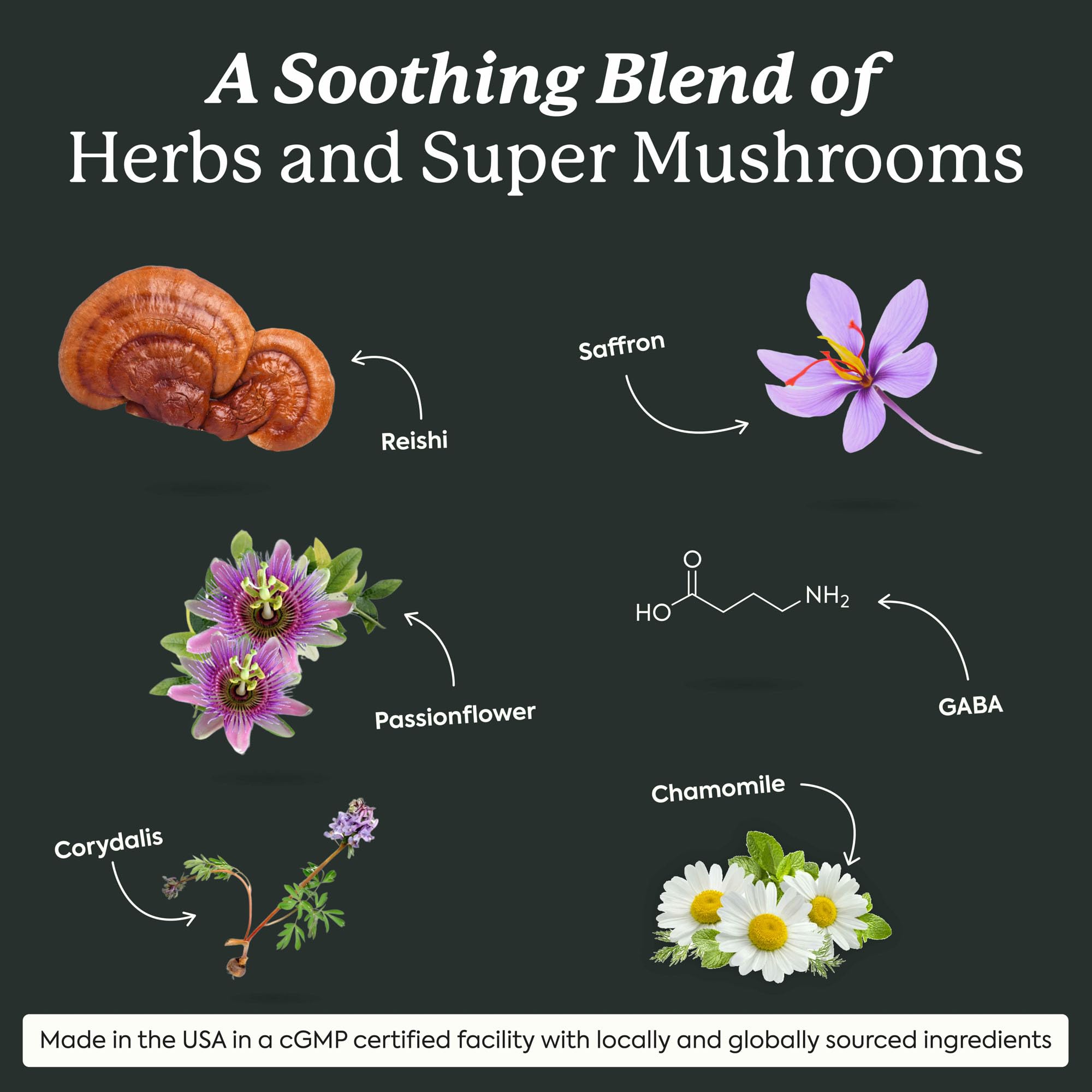 WonderSleep label art highlights melatonin-free sleep support and plant-based ingredients.