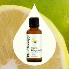 Plant Therapy Bergamot cold-pressed from Bulgaria highlights quality and purity.