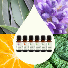 Plant Therapy Breathe Easy Lemongrass 10ml bottle for bright aroma.
