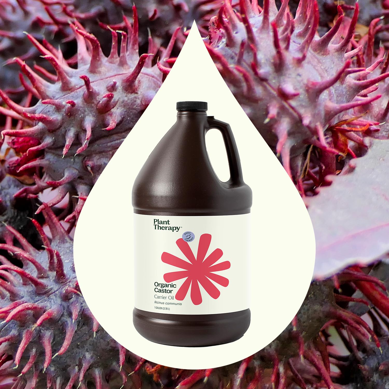 Plant Therapy Castor Oil label closeup confirms USDA Organic and 100% pure
