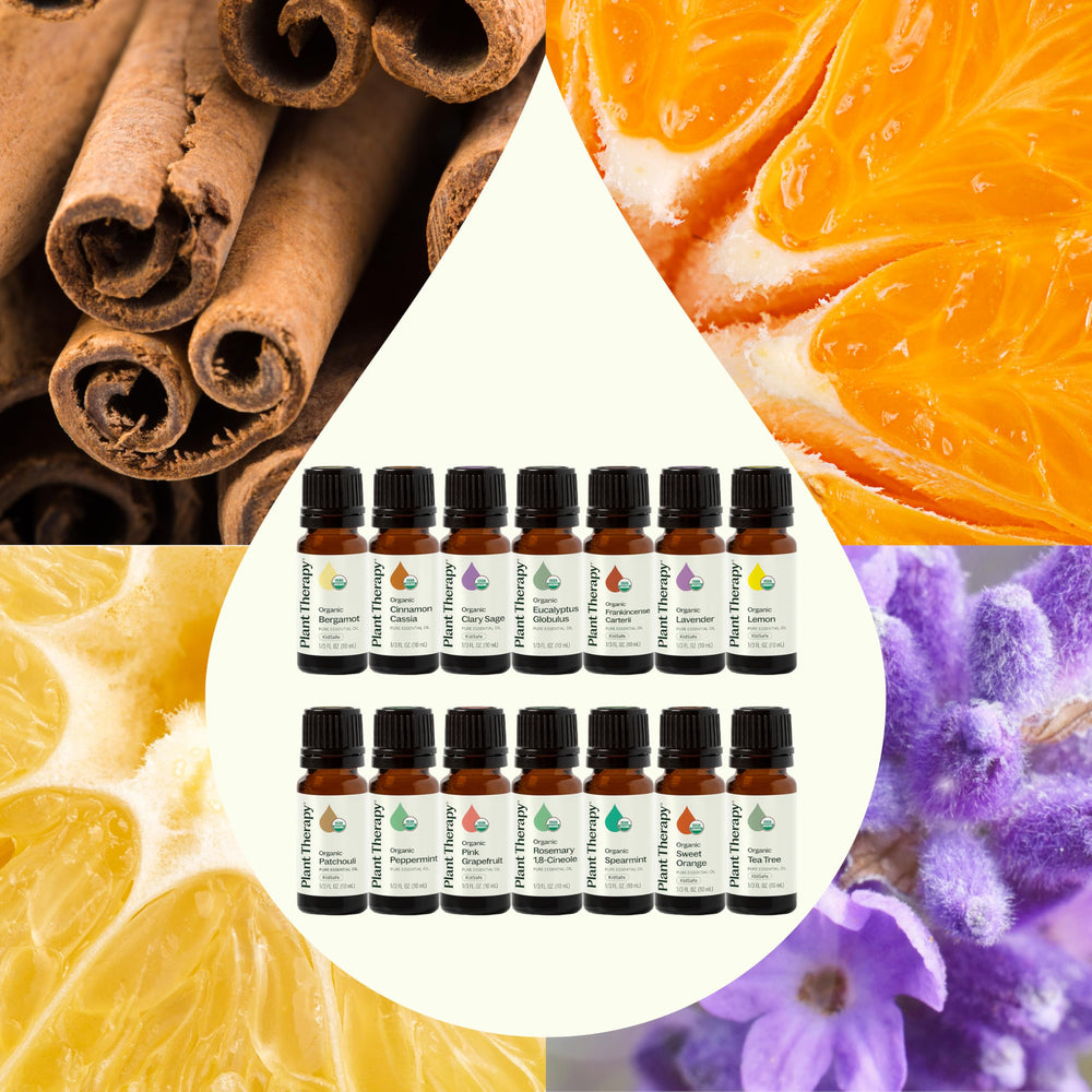 Plant Therapy Cinnamon Cassia oil bottle for warm spice notes in blends