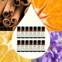 Plant Therapy Cinnamon Cassia oil bottle for warm spice notes in blends