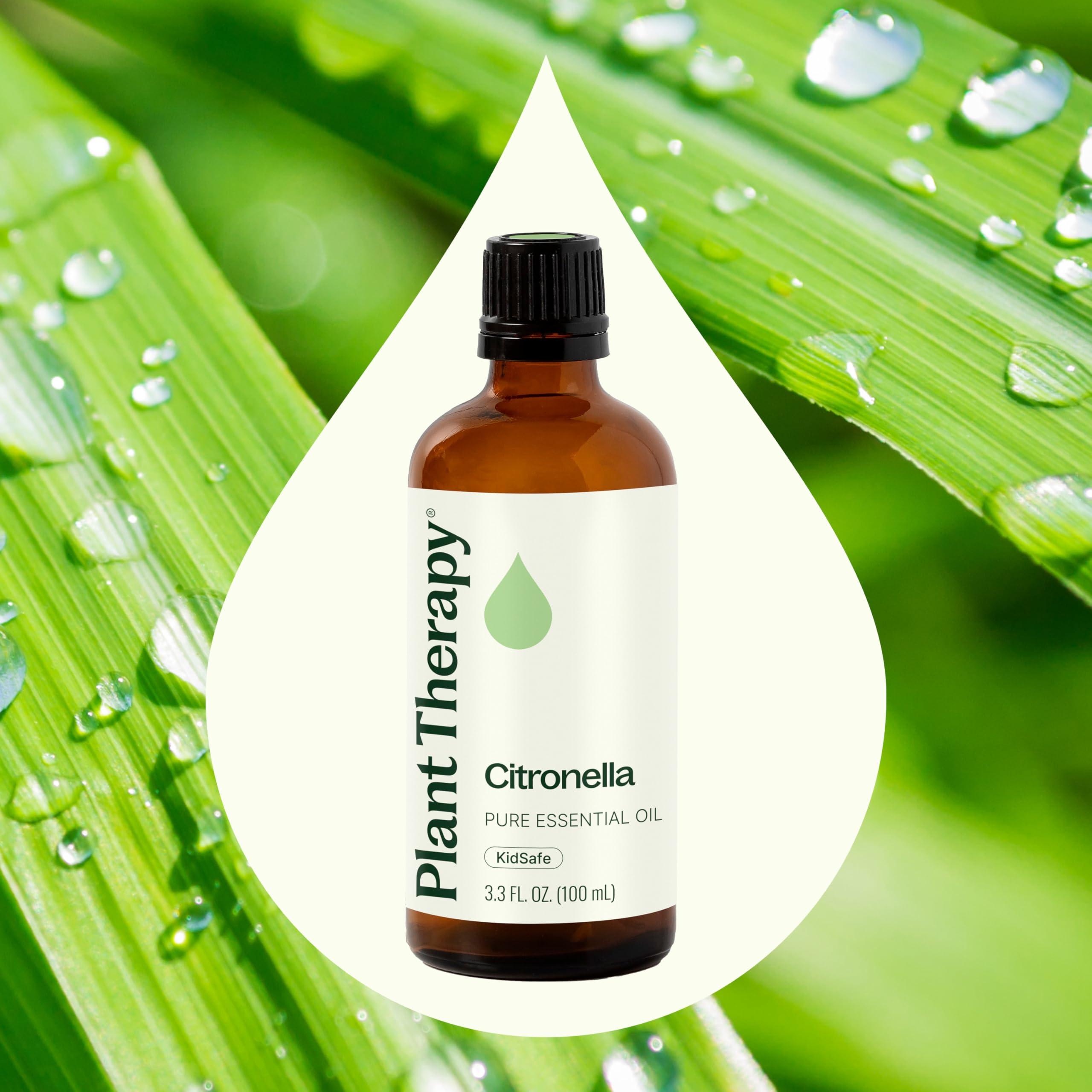 Drops of Plant Therapy citronella oil ready for blending in sprays and diffusers.