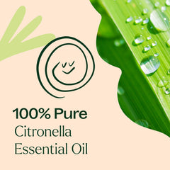 Plant Therapy citronella leaves with bottle illustrating the natural plant source.