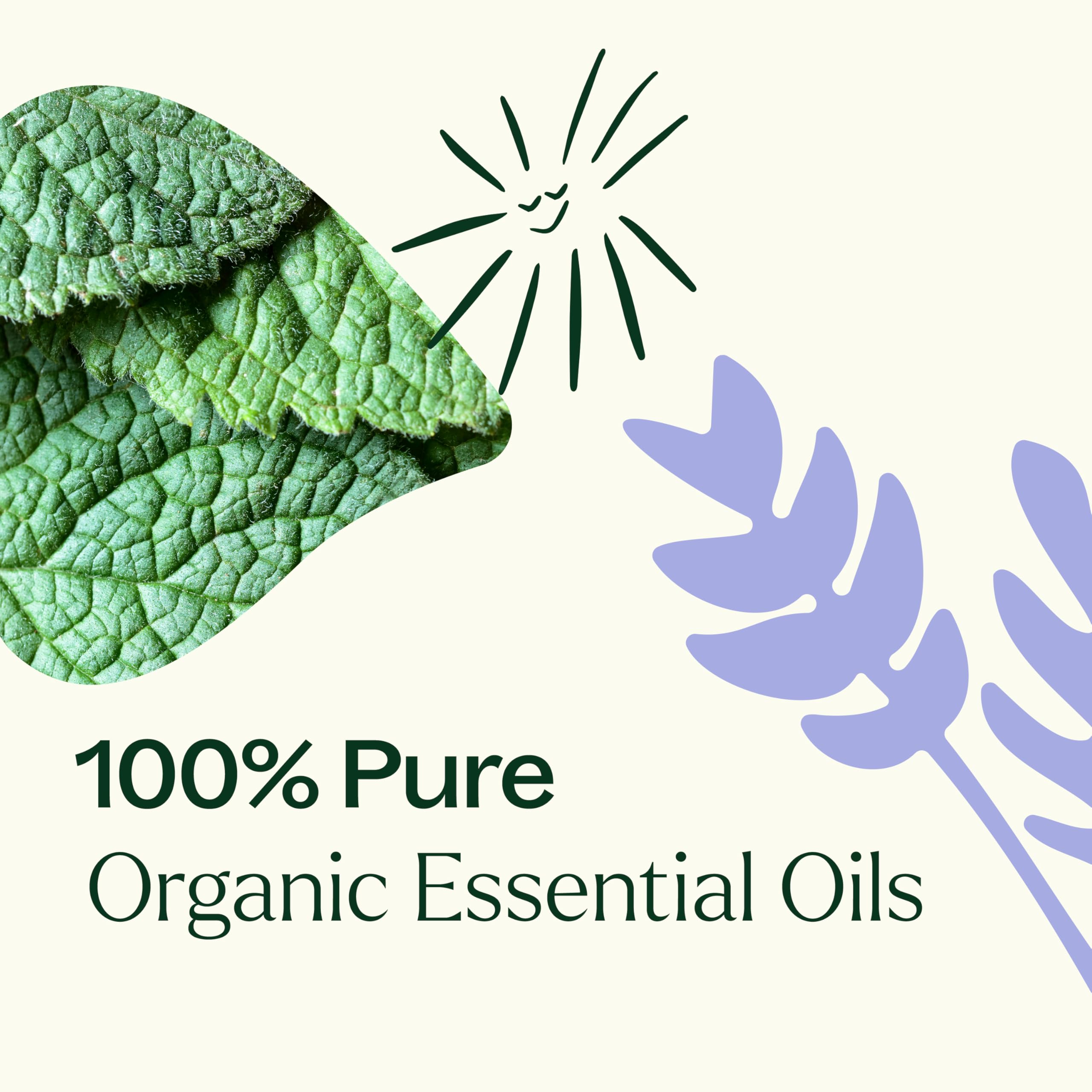 Plant Therapy Lemon and Peppermint in DIY cleaners with fresh scent.