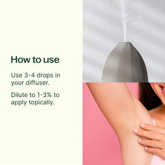 Plant Therapy Deodorizing Blend diffuser usage for pleasant aromas.
