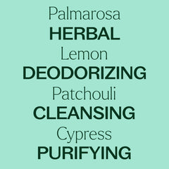 Plant Therapy Deodorizing Blend room freshness setup with diffuser.