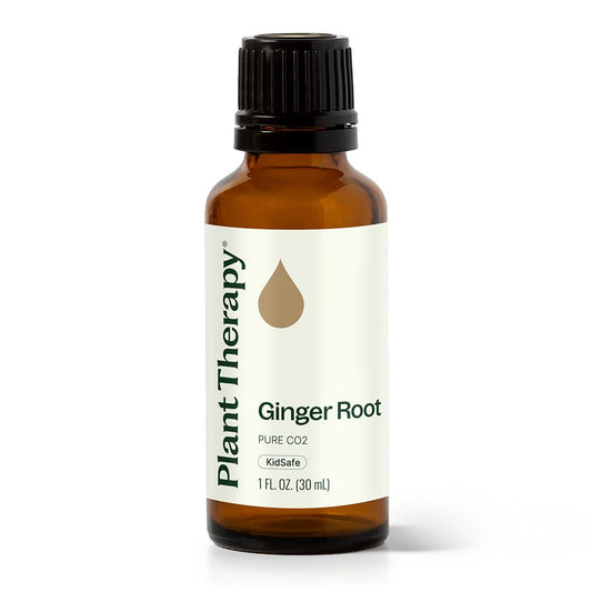 Plant Therapy Ginger Root CO2 bottle showcases pure essential oil for diffusion and massage