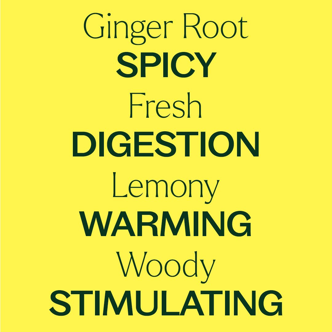 Plant Therapy Ginger Root CO2 diffuser blend ready for uplifting aromatherapy sessions