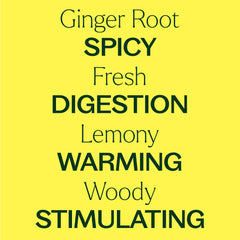 Plant Therapy Ginger Root CO2 diffuser blend ready for uplifting aromatherapy sessions