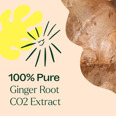 Plant Therapy Ginger Root CO2 massage oil mix adds warming comfort in routines