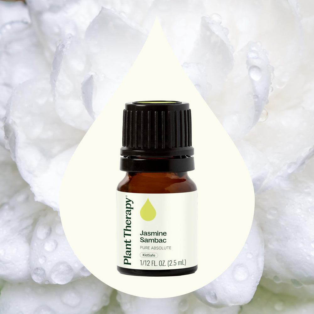 Plant Therapy Jasmine Sambac Absolute closeup bottle shows concentrated fragrance.